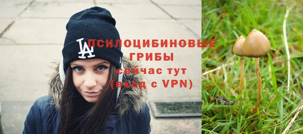 ешки Балабаново